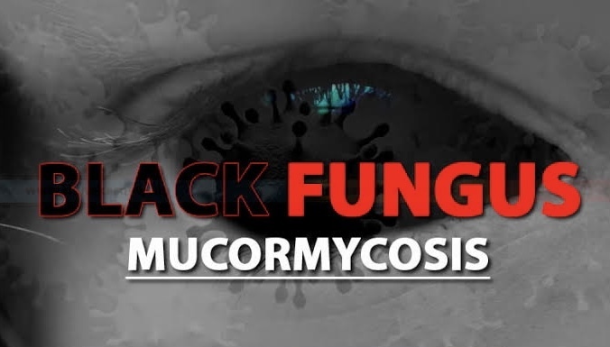 Black Fungus: ब्लैक फ़ंगस से एम्स में एक और मौत, 61 तक पहुँची मरीज़ों की संख्या