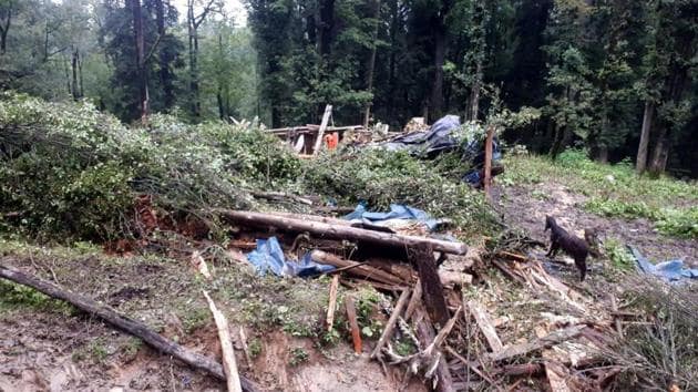 रामपुर: 11 केवी की लाइन पर पेड़ गिरने से दो लोगों की मौत