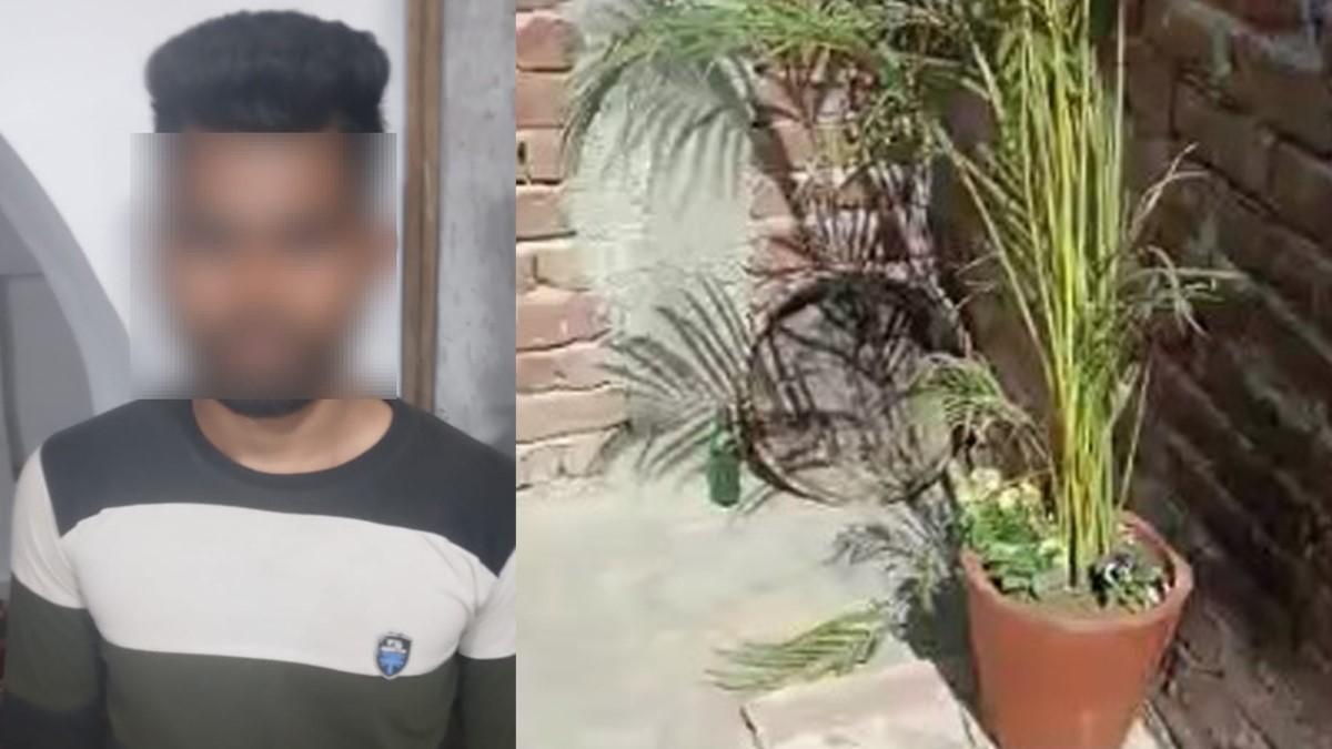 G20 समिट के लिए सजाए गमले हुए चोरी